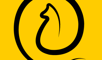 11pets Comprehensive Pet Care